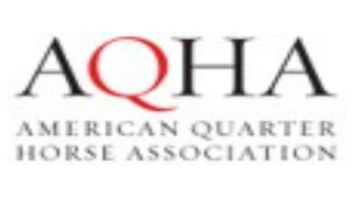 American Quarter Horse Association